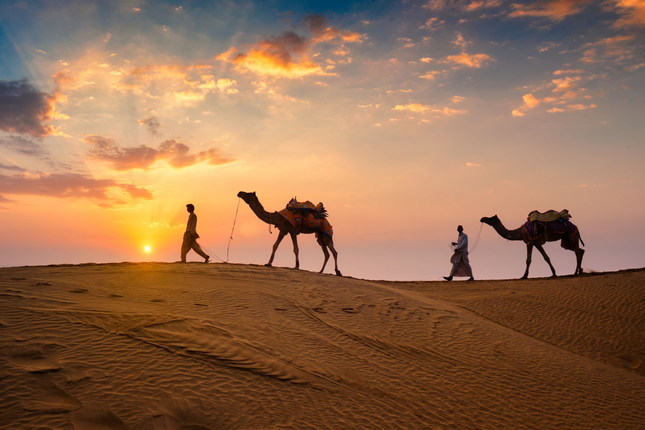 Exotic Rajasthan Tour Package 7N/8D | SVR Tours